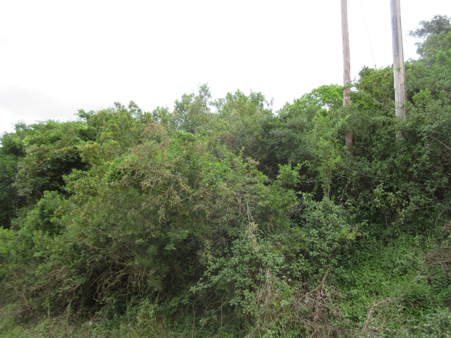 0 Bedroom Property for Sale in Bathurst Eastern Cape